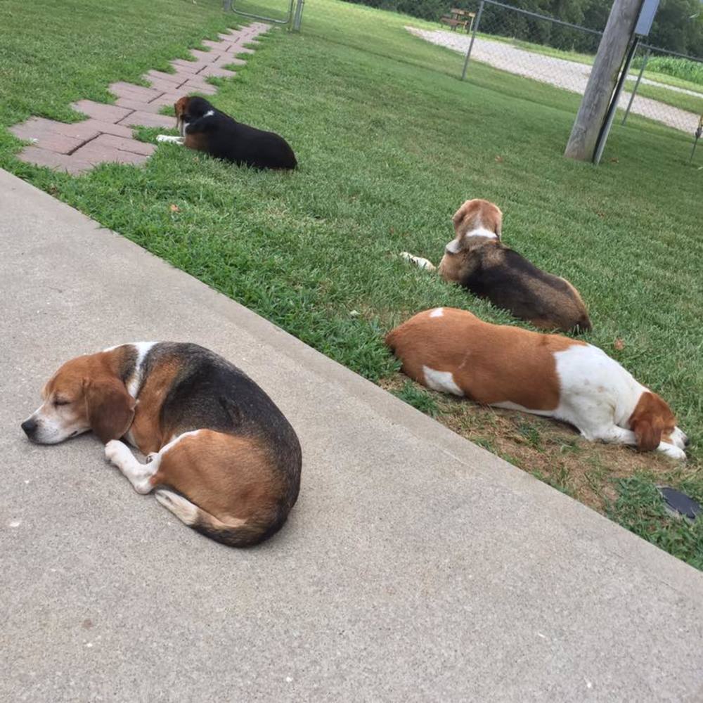 Meet your Posher, Gina